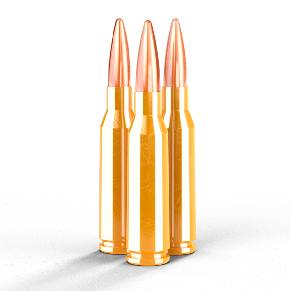 Büchsenpatrone GetLoad 55 gr. / 3.56 g FMJ 5.45x39 - VE 30 Schuss, Bild 1