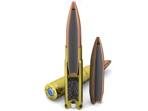 Büchsenpatrone SWISS P  Target 14.3g Subsonic .300 BLK - VE 20 Schuss, Bild 1