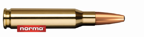 Büchsenpatrone NORMA Oryx 180grs/11.6g .308 Win. (7.62x51) - VE 20 Schuss, Bild 1