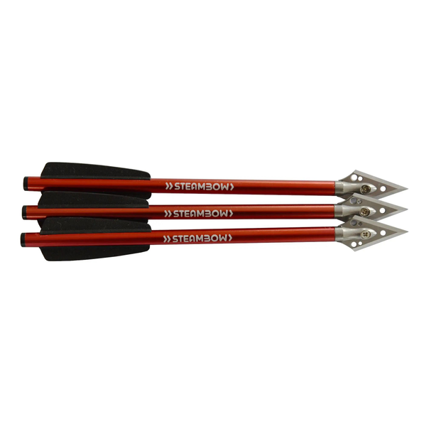 Jagdpfeile STEAMBOW Stinger – Set 3 Stk., Bild 1
