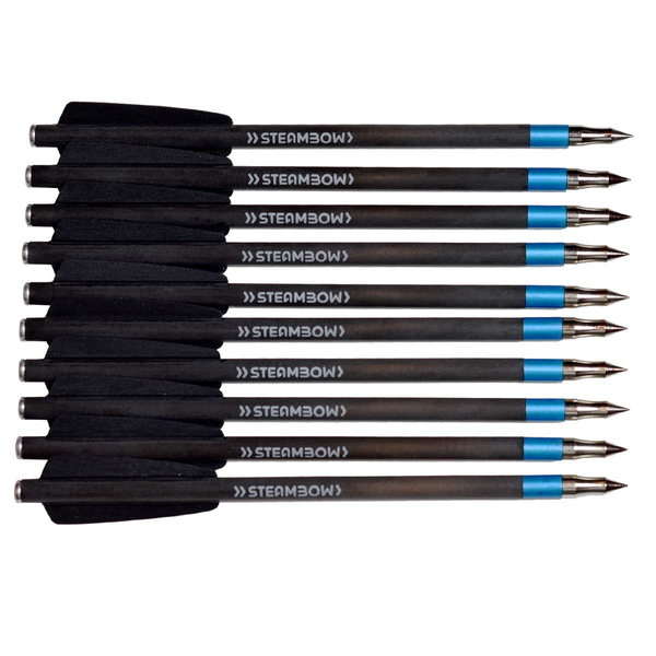 Carbon-Matchpfeile STEAMBOW AR-Series – Set 10 Stk., Bild 1