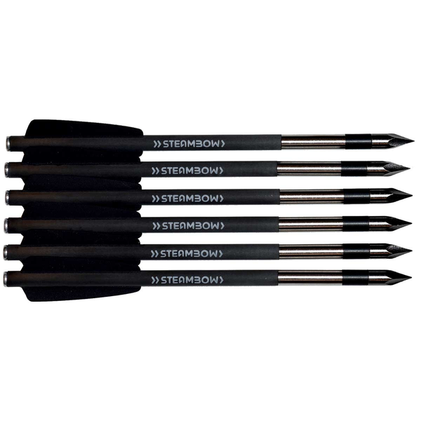Premium Carbon-Bodkinpfeile STEAMBOW AR-Series - Set 6 Stk., Bild 1