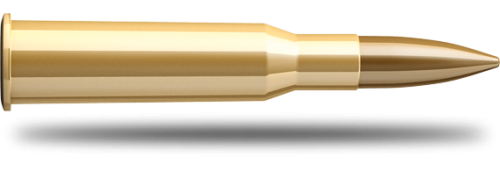 Büchsenpatrone Sellier & Bellot FMJ 180grs 11.7g 7.62x54R - VE 50 Schuss, Bild 1